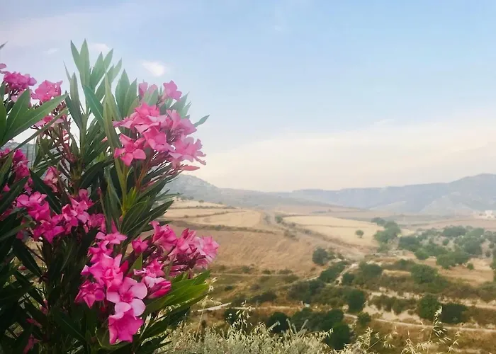 Apartamento Panoramic Holidays Peyia